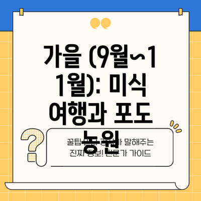 가을 (9월~11월): 미식 여행과 포도 농원