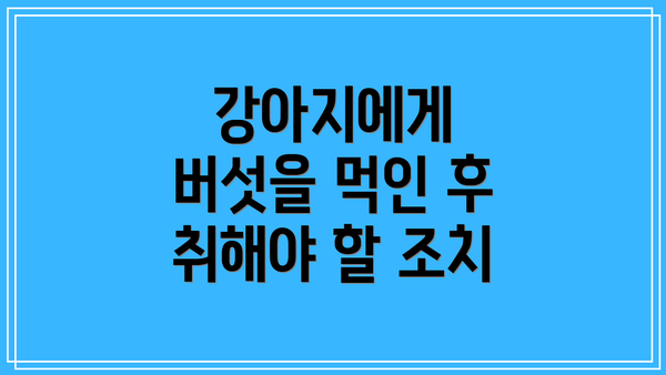강아지에게 버섯을 먹인 후 취해야 할 조치