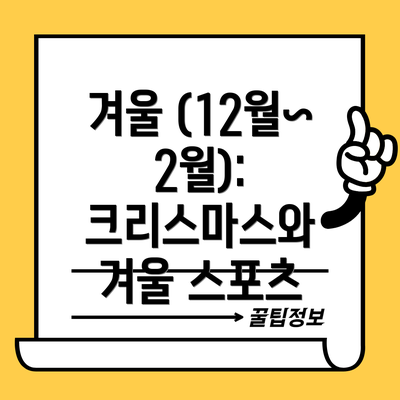 겨울 (12월~2월): 크리스마스와 겨울 스포츠