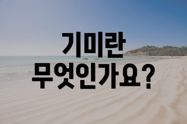 기미란 무엇인가요?