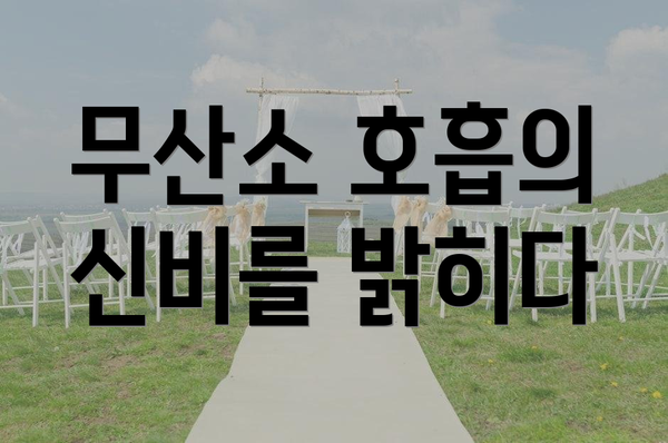 무산소 호흡의 신비를 밝히다