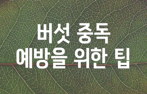 버섯 중독 예방을 위한 팁