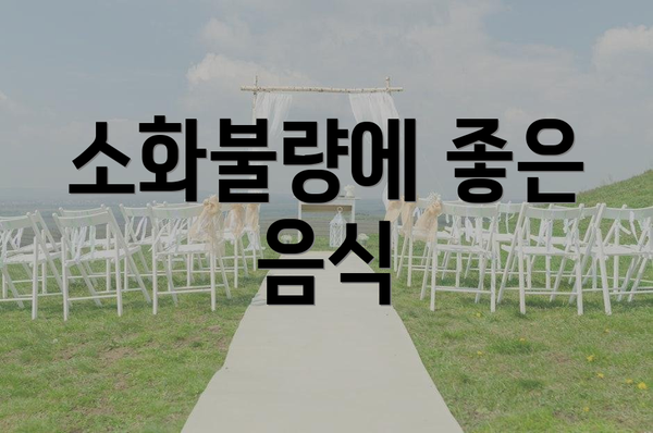 소화불량에 좋은 음식