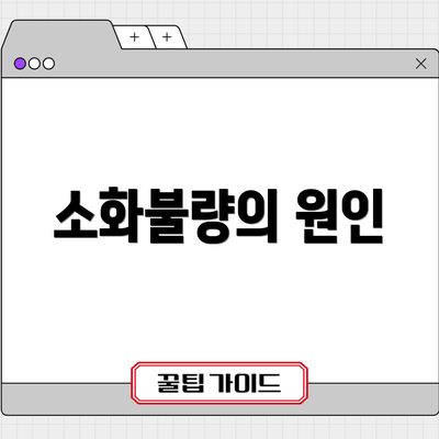 소화불량의 원인