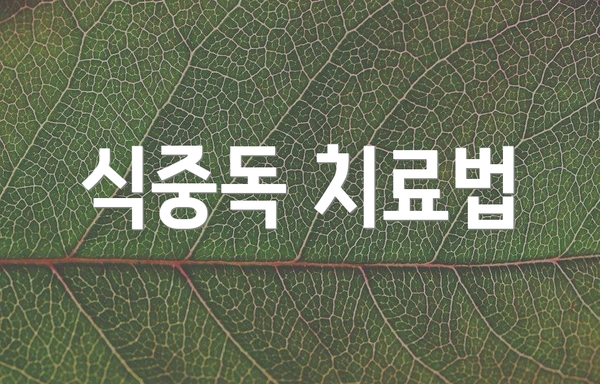 식중독 치료법