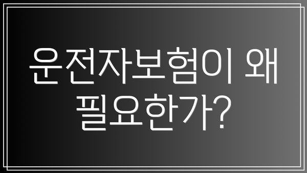 운전자보험이 왜 필요한가?
