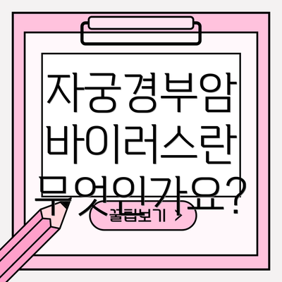 자궁경부암 바이러스란 무엇인가요?