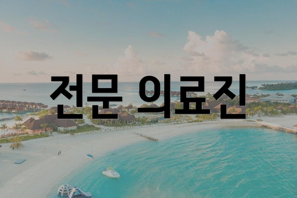 전문 의료진