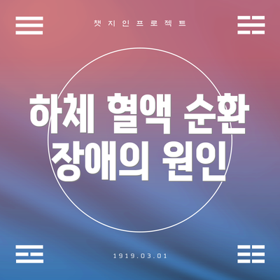 하체 혈액 순환 장애의 원인