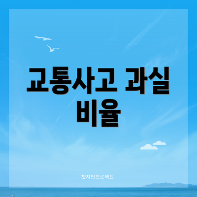 교통사고 과실 비율