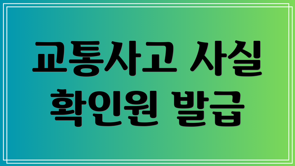 교통사고 사실 확인원 발급
