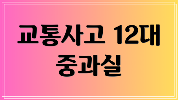 교통사고 12대 중과실