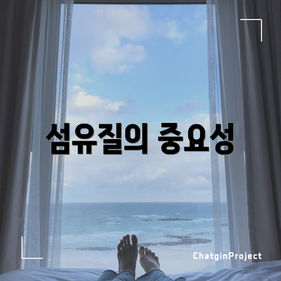 섬유질의 중요성