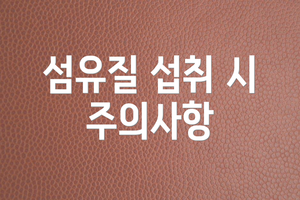 섬유질 섭취 시 주의사항