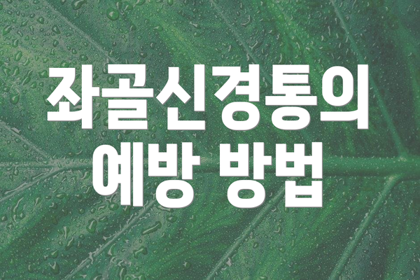 좌골신경통의 예방 방법