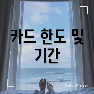 카드 한도 및 기간