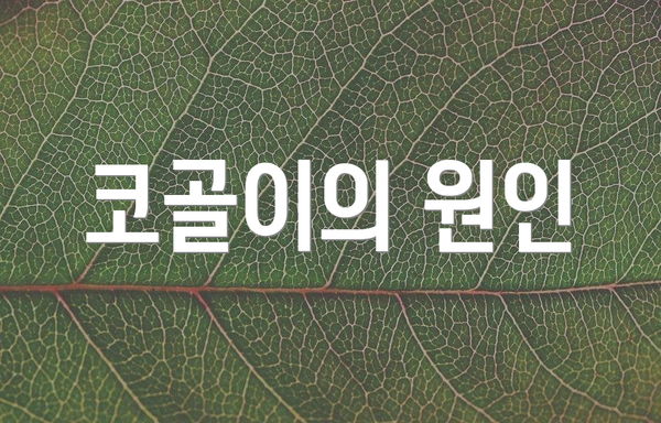 코골이의 원인