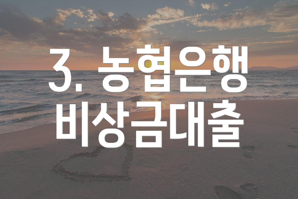 3. 농협은행 비상금대출