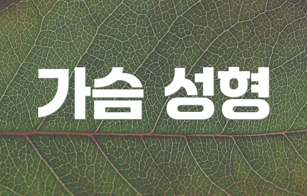 가슴 성형
