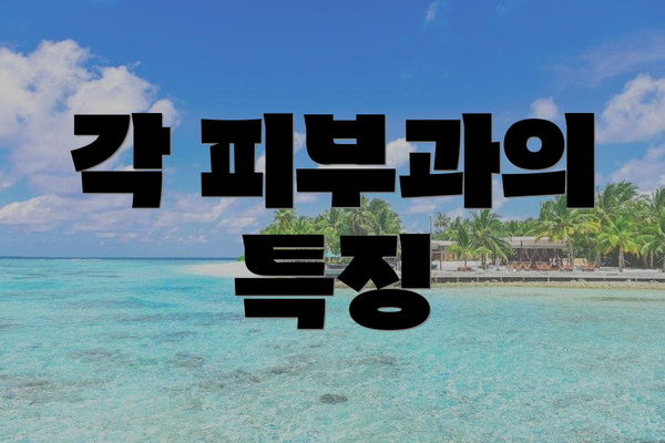 각 피부과의 특징