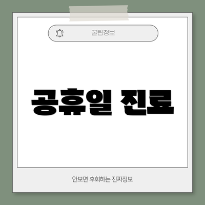 공휴일 진료