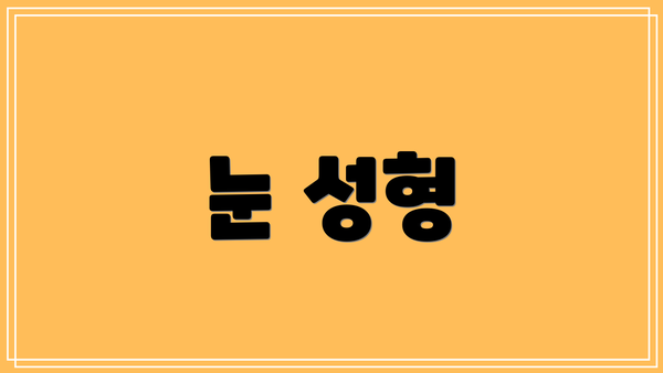 눈 성형