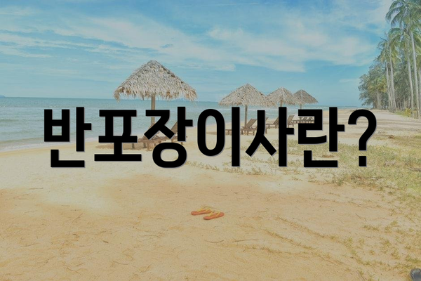 반포장이사란?