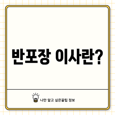 반포장 이사란?