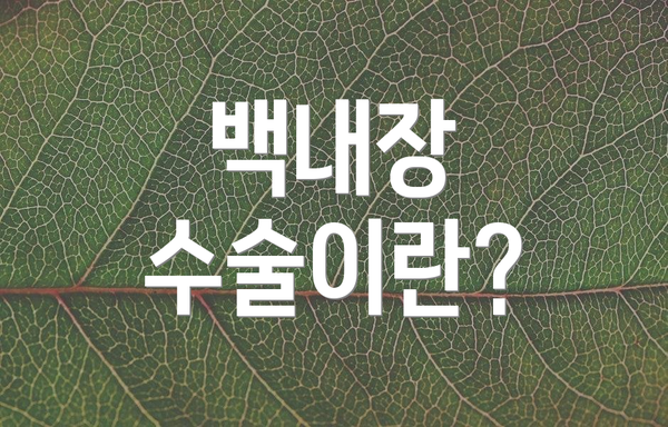 백내장 수술이란?