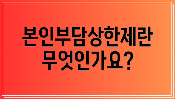 본인부담상한제란 무엇인가요?