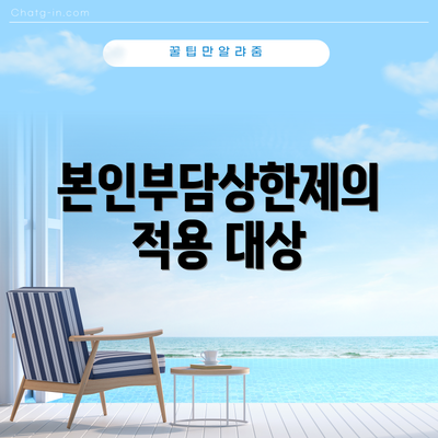 본인부담상한제의 적용 대상