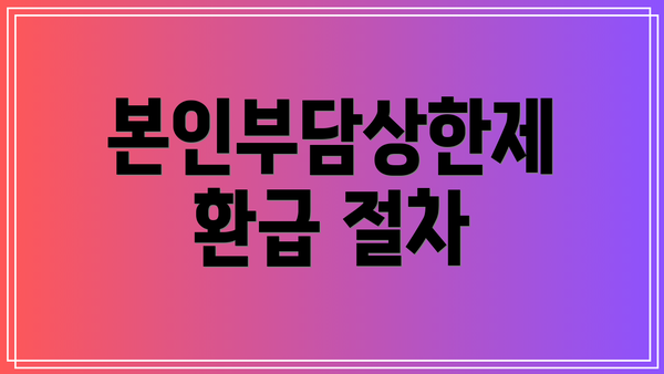 본인부담상한제 환급 절차