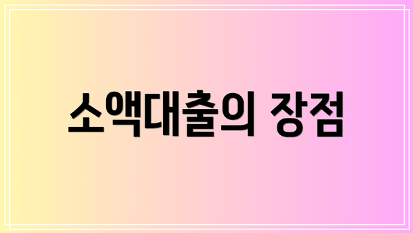 소액대출의 장점