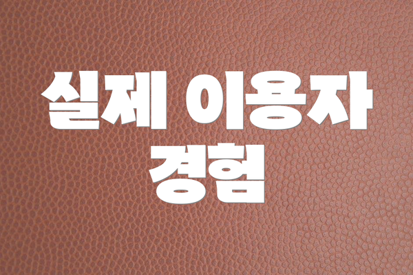 실제 이용자 경험