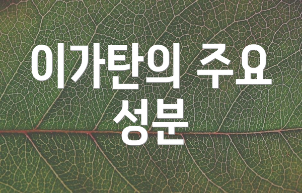 이가탄의 주요 성분