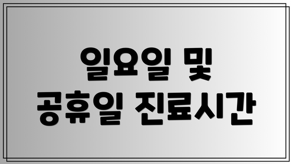 일요일 및 공휴일 진료시간