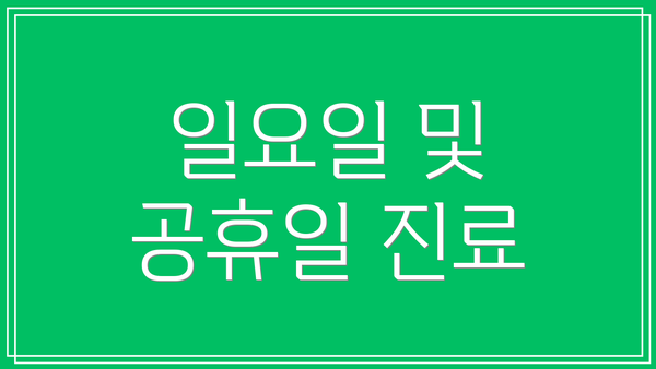일요일 및 공휴일 진료