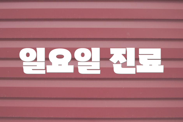 일요일 진료