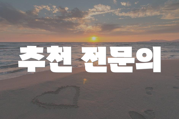 추천 전문의