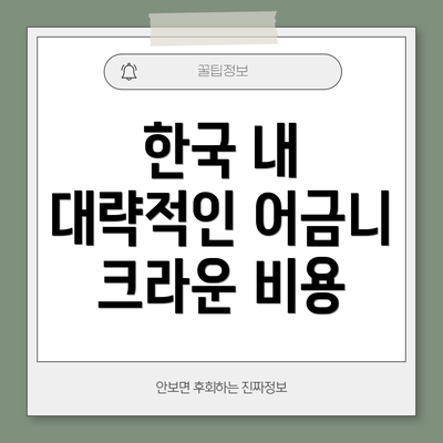한국 내 대략적인 어금니 크라운 비용