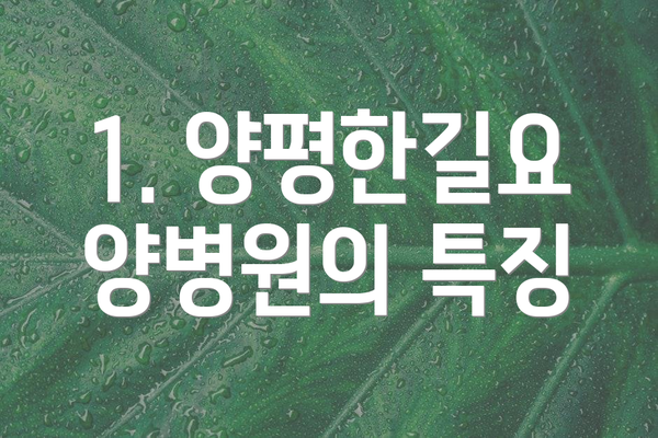 1. 양평한길요양병원의 특징