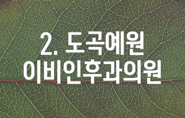 2. 도곡예원 이비인후과의원