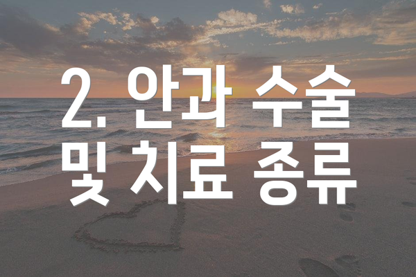 2. 안과 수술 및 치료 종류