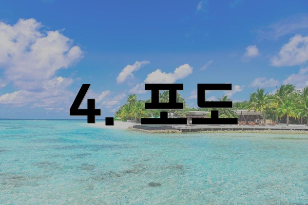 4. 포도