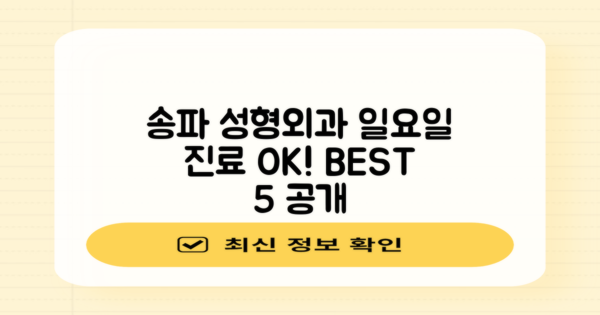 송파 성형외과 BEST 5: 일요일 진료하는 곳 집중 탐구!