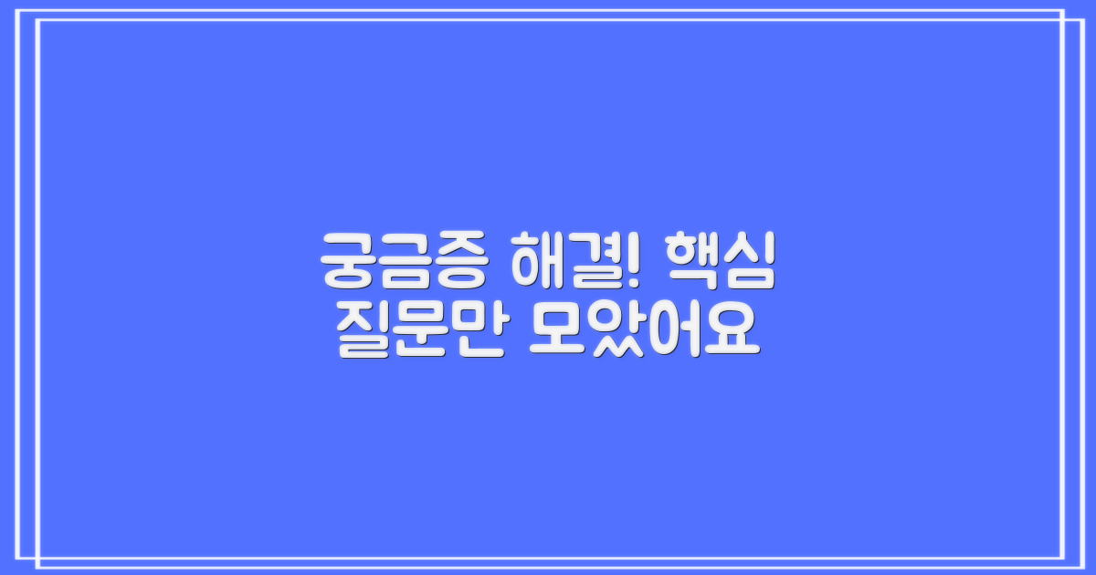 자주 묻는 질문